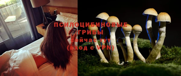 ECSTASY Нефтекумск
