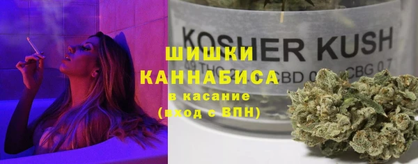 ПСИЛОЦИБИНОВЫЕ ГРИБЫ Алзамай
