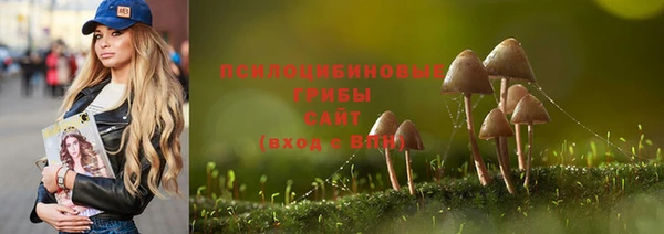 ECSTASY Нефтекумск