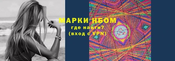прущие грибы Алексеевка