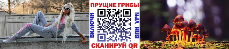 Галлюциногенные грибы мухоморы  как найти закладки  Порхов 